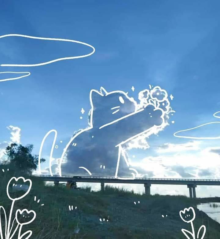 Avatar bầu trời cute 